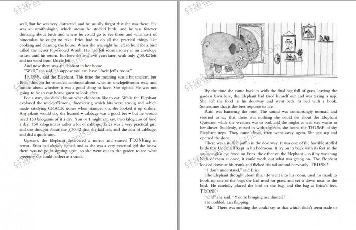 《埃丽卡的象 Erica's Elephant - Sylvia Bishop》7-9岁英文有声书章节音频MP3+PDF 百度云网盘下载