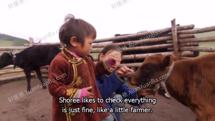 《Little Human Planet小小人类星球》16集BBC儿童英文纪录片 MP4视频 百度云网盘下载