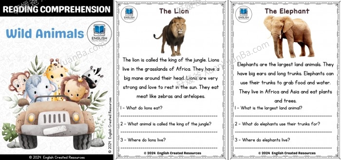 《四个趣味主题阅读理解练习 Reading Comprehension》季节日常生活食物野生动物主题PDF 百度云网盘下载