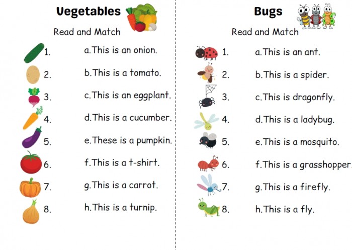 《Read and Match》多主题一年级英语阅读和匹配练习题PDF 百度云网盘下载