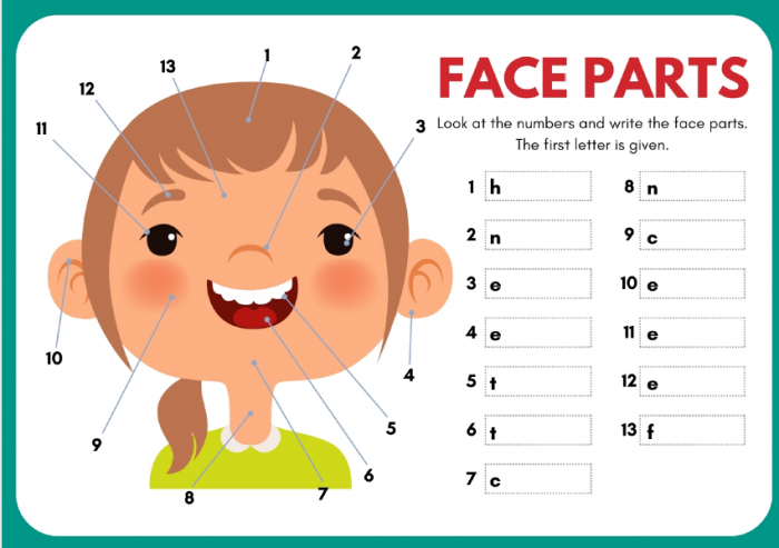 《Face Parts Worksheets for Kids》关于面部结构的英语手工PDF 百度云网盘下载
