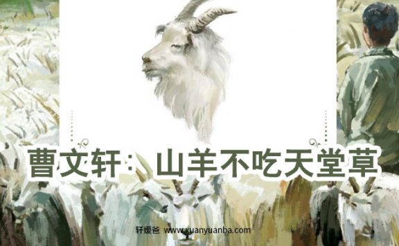 【故事】《曹文轩:山羊不吃天堂草》共39集有声经典儿童文学故事M4A音频格式 百度云盘下载