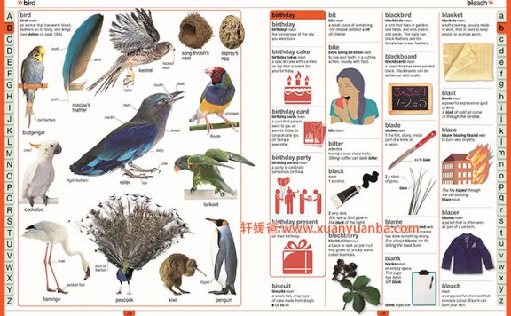 《Children’s Illustrated Thesaurus DK》 DK儿童插图词典  高清PDF格式 百度云网盘下载