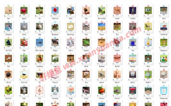 【免费分享】100张 亲子英语启蒙 A-Z 彩色字母卡片 百度网盘下载