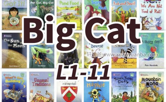 《大猫分级阅读》第1级~第11级全套 适合4~15岁孩子MP3+PDF 百度云网盘下载