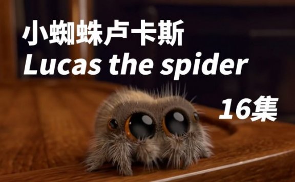 《小蜘蛛卢卡斯 Lucas the spider》16集含内嵌字幕 MP4视频格式 百度网盘下载