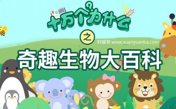 《奇趣生物大百科》掌握50个充满趣味的自然知识 MP4百度云网盘下载