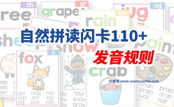《Phonics Poster》自然拼读闪卡110+发音规则 PDF百度云网盘下载