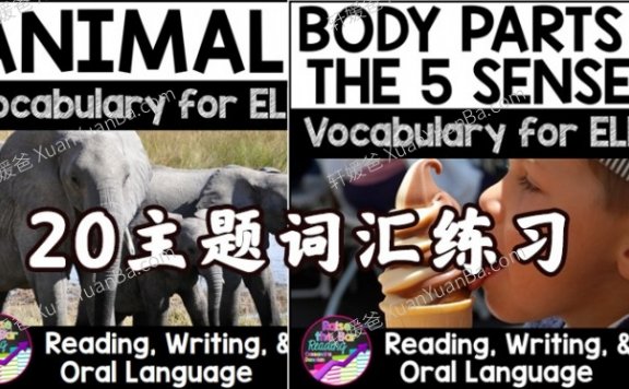 《My Picture Dictionary & ELL ESL Vocabulary Activities》词汇练习册20主题套装PDF 百度网盘下载