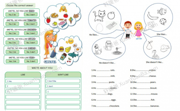 《喜欢/不喜欢 LIKES/DISLIKES》主题语法专项练习7份PDF 百度云网盘下载