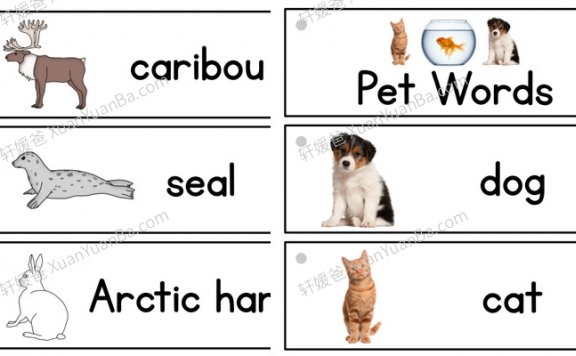 《Prekinders 英语单词闪卡30册》PDF百度云网盘下载