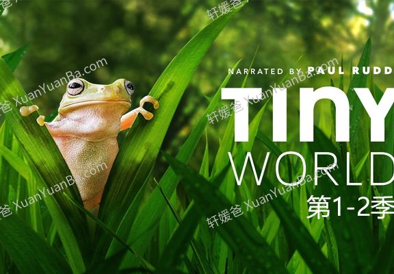 《小小世界 Tiny World》BBC纪录片1-2季全MP4视频 百度云网盘下载