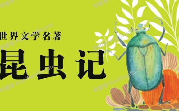 《昆虫记》104集儿童科普经典故事MP3音频 百度云网盘下载