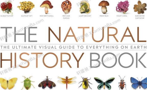 《The Natural History Book》664页DK科普类知识绘本PDF 百度云网盘下载