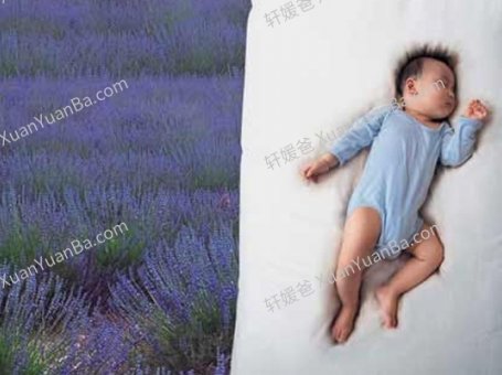 《黑幼龙：慢养孩子 静待花开》18集育儿视频MP4 百度网盘下载