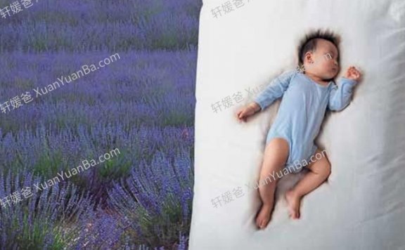 《黑幼龙:慢养孩子 静待花开》18集育儿视频MP4 百度网盘下载