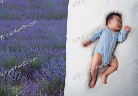 《黑幼龙：慢养孩子 静待花开》18集育儿视频MP4 百度网盘下载