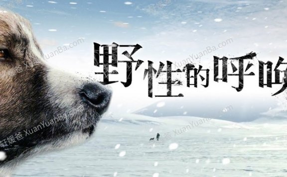 《野性的呼唤》31集有声故事MP3音频 百度网盘下载