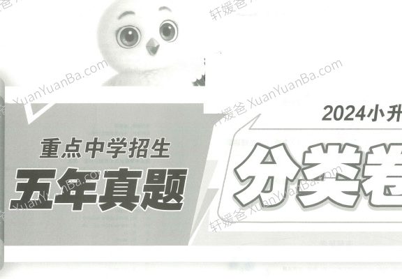 《2024年小升初招生真题试卷-语文》重点中学测试卷子含答案详解PDF 百度网盘下载
