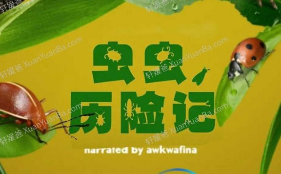 《虫虫历险记》第一季英文版5集全纪录片MP4视频  百度云网盘下载