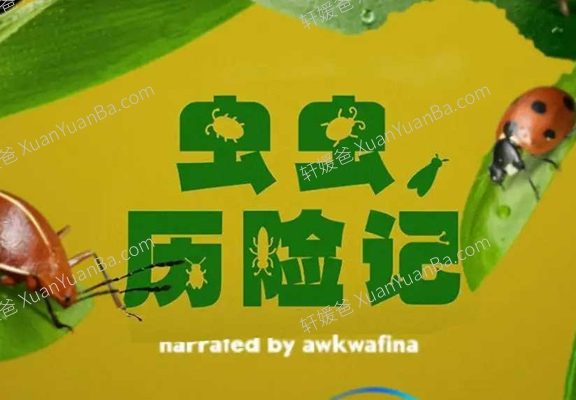 《虫虫历险记》第一季英文版5集全纪录片MP4视频  百度云网盘下载