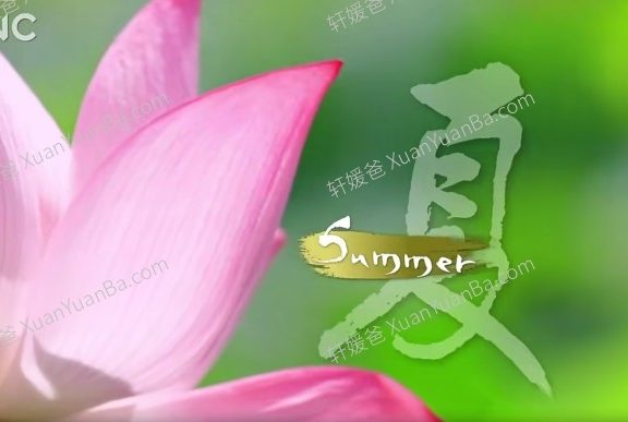 《四季中国 24节气 》二十四节气中英文版人文知识MP4视频百度云网盘下载
