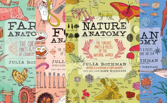 《 Anatomy Series 四部生物解剖学》农场食物自然海洋解剖学科学绘本阅读PDF 百度云网盘下载