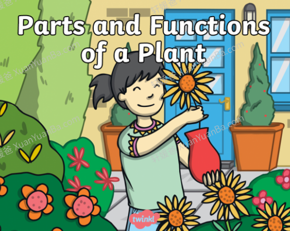 《Twinkl自然科学知识和词汇课件+练习纸+桌游》英语科学实验超好用PDF 百度云网盘下载