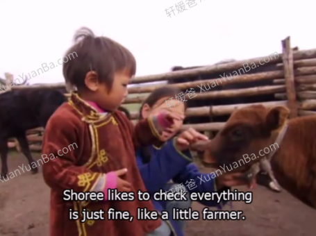 《Little Human Planet小小人类星球》16集BBC儿童英文纪录片 MP4视频 百度云网盘下载