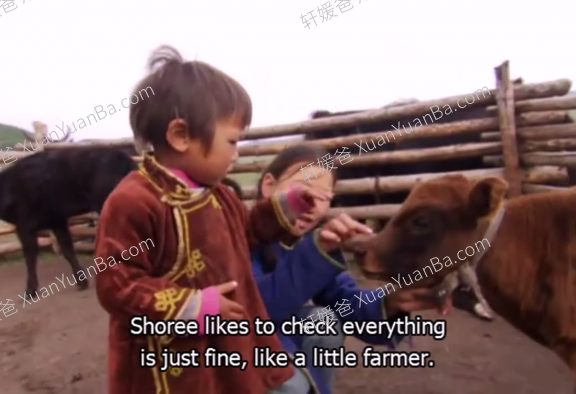 《Little Human Planet小小人类星球》16集BBC儿童英文纪录片 MP4视频 百度云网盘下载