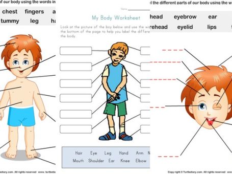 《Body Worksheets》身体主题英语练习纸21页 PDF 百度网盘下载