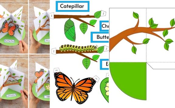《Butterflife Cycle Pop Up》蝴蝶生命周期主题英语手工制作素材5页 PDF 百度云网盘下载