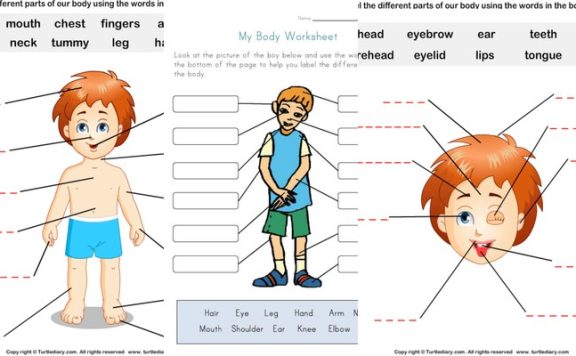 《Body Worksheets》身体主题英语练习纸21页 PDF 百度网盘下载